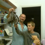 caccia